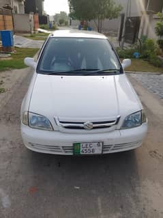 Suzuki cultus