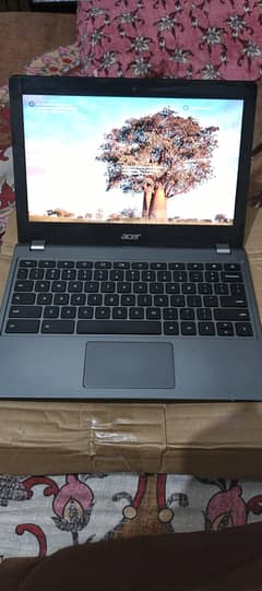 Acer C740 5th Generation USA stock 4GB RAM (128 GB SSD)