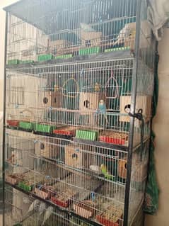 Cage