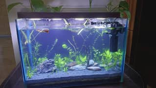 1.5 feet planted aquarium with power filter