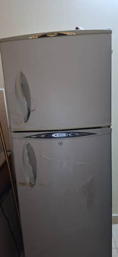 Waves Refrigerator