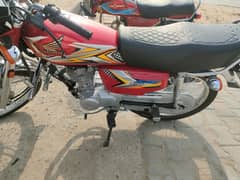 New