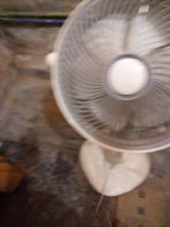 Royal padestal / luver fan with remote control