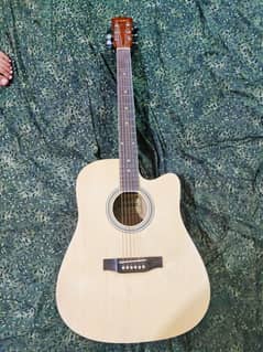 Acoustic Guitar