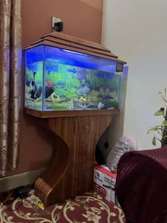 Aquarium fish tank with fishes