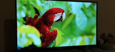 Led Pel 32 inch smart TV  Like New 3 months used