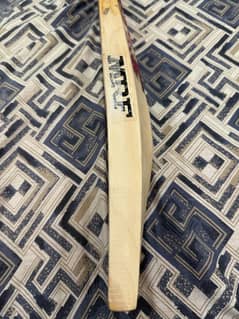 English willow brand new hard ball bat