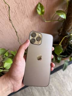 iPhone 13 pro max jv approved