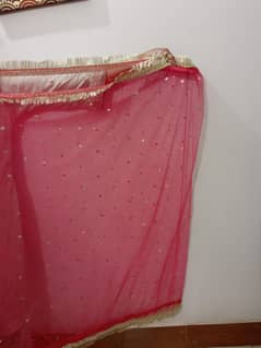 clothes lehnga cholii