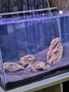 Aquarium