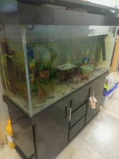 Aqurium 4fit Sale
