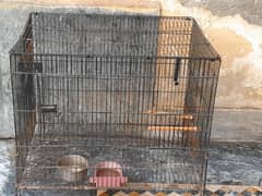 iron cage