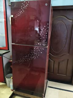 refrigerator and freezer