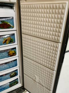 Dawlance Freezer Brand New hai 2nd portion pa shift krty side lagi hai