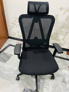 Master Offisys Imported Chair
