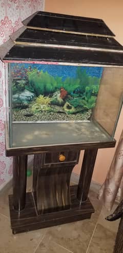 fish aqurieum for sale
