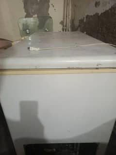 freezer All ok medium size haire
