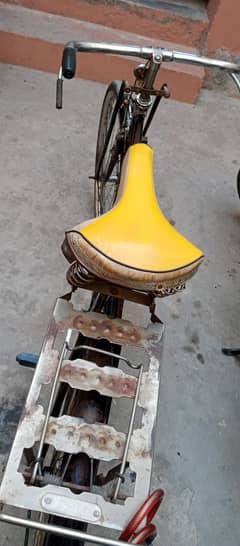 sohrab cycle 22"