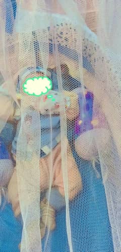 born baby swing