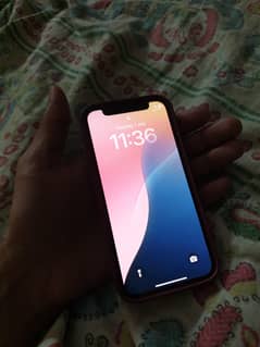iphone 12 mini