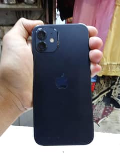 iPhone 12