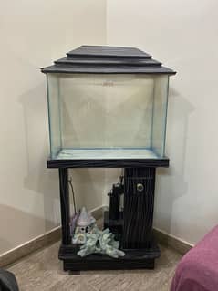 Fish Aquarium