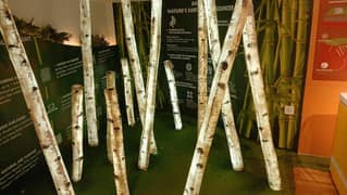 decore