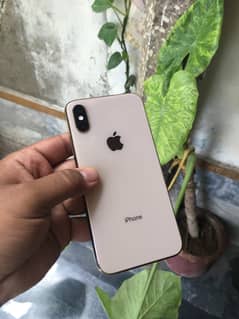 iPhones