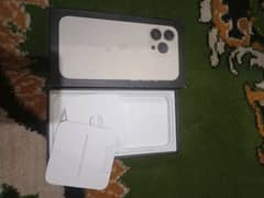 iphone 13 pro ( panel change )