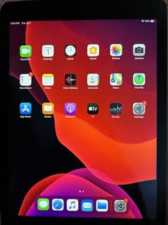 iPad
