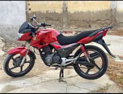Honda CBf 150 urgent sell