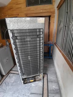 orient refrigerator