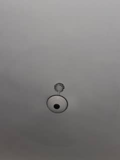 Ceiling fan Brand new 10/10 condition (3 fans available)