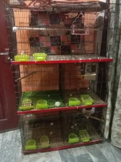folding cage