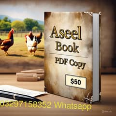 Aseel hen