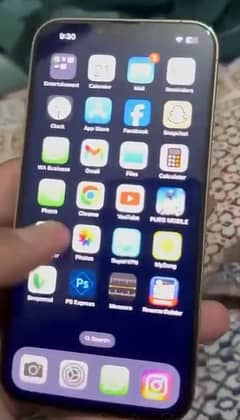 Apple