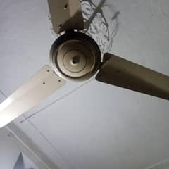 celling fan for sale