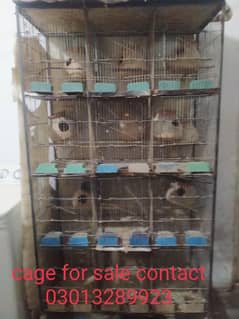 12 porshan angel cage