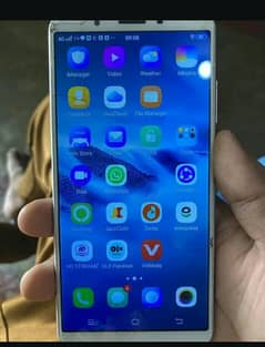 vivo