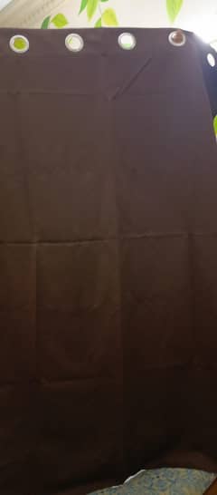 imported curtain pair