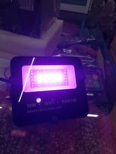 LED Reflector RGBCW | Voice Controller Light | 30W