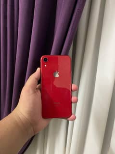 iphone xr  128gb  face id ok  urgent sale