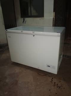 haier freezer