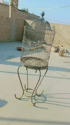 2 2 CAGES HAIN 1 RINGNECK FEMALE HY TALKING KRTI HY 20 MATKI HAIN