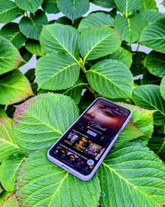 Samsung Z flip 4 PTA APPROVED Sale/ Exchange