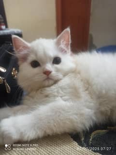 persiran