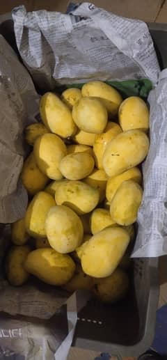Mengo