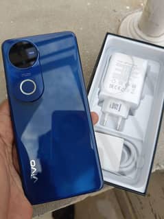 vivo v 50 5G 12/256 just open box