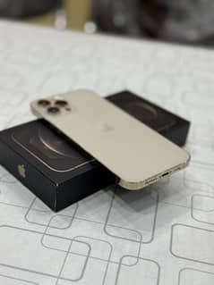 iPhone 12 Pro Max PTA Approved