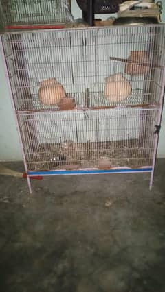 4 Portion cage